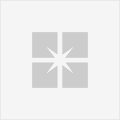 Google+ Pages este disponibil pentru companii, afaceri, branduri, vedete, trupe muzicale